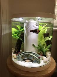 One thing for sure, whether you are a buddhist or not, the buddha statue is perfect for the asian themed fish tank decorations. Blue Ribbon Blue Stone Bridge Aquarium Ornament Petco