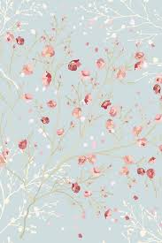 Cute and funny wallpapers hd wallpapers pinterest hd evolution. Petals Background Iphone 4s Wallpaper Ipad Mini Wallpaper Floral Wallpaper Flower Wallpaper