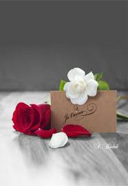 Je T Aime Mon Amour Beautiful Rose Flowers Beautiful Roses Rose Pictures