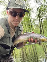 Ain't from Michigan, or even the US but from Poland. Brownies are native  here and they have it very tough. Lots of poachers and angler pressure,  still managed to beat my pb