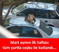 Huseyin Yildiz Adli Kullanicinin Mizah Panosundaki Pin Komik Goruntuler Komik Mizah