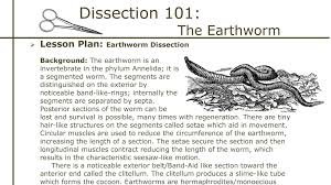 Dissection 101 Earthworm Dissection Lesson Plan Pbs Learningmedia
