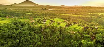 The uma pool villas and the como villa are the most extravagant, boasting the largest square footage, sitting rooms and their own infinity plunge como uma ubud is hidden on the fringe of ubud, a small town in the middle of bali. Como Uma Ubud Indonesien Trauminsel Reisen