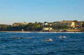 Hotels On Kwa Zulu Natal South Coast