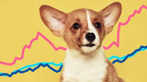 Welcome to the pet charity website …. Pet Mania Brings Out Animal Instincts In Eager Investors Financial Times