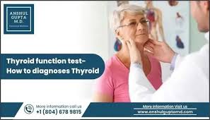 Image result for Thyroid Function Test