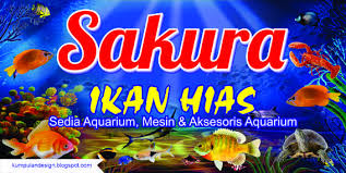 Bandingkan beberapa penawaran dari supplier terpercaya. Banner Ikan Hias Guru