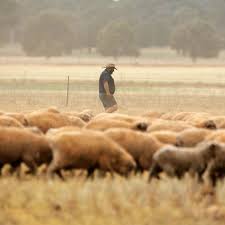 41,857 likes · 2,634 talking about this. Shepparton News Contact Information Journalists And Overview Muck Rack