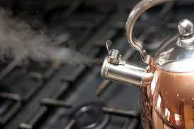 Does Boiling Water Kill Mold House Caravan