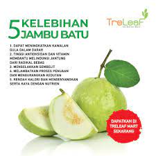 Persoalannya, apakah kebaikan mengambil buah ini? Treleaf Mart Nampak Biasa2 Jer Jambu Batu Ni Tapi Facebook