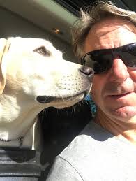 Hi! I need input and your recommendations