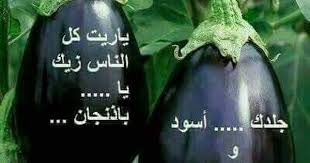 Pin By Nahla Abdelwahaab On كلمات وتعليقات Sarcastic Humor Mamamoo Moonbyul Funny Pictures