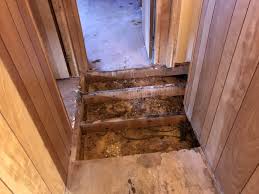 We did not find results for: Repairing Damaged Subfloor In A Mobile Home Mobile Home Friend