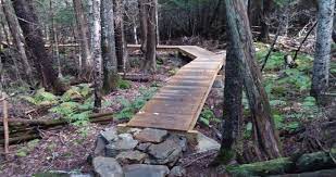 Hiking At Witt S End Trail In Maine Is Like Entering A Fairytale Trail Outdoor Lover Beautiful Nature