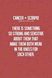 If your birthday falls in this date range, you have a scorpio sun sign.although scorpio horoscope birth dates can change depending on the year, these are customarily the scorpio calendar dates. 20 Quotes About Cancer Scorpio Relationships Scorpio Quotes