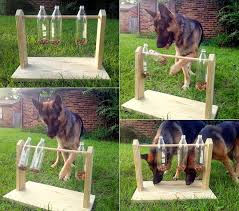 The diy project is basically a creative treat dispenser for your dog. Diy Spinning Plastic Bottle Dog Treat Game Home Design Garden Architecture Blog Magazine