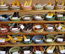 A seed bank is the reservoir of viable seeds present in a plant community. A Global Community Seedbank Platform Cgiar