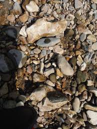 Quick Click River Guide Artist Art Quick