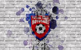 League, teams and player statistics. Fc Botosani Romanian League Liga I Soccer Football Club Romania Botosani Logo Botosani Fc Digital Art By Lexie Howe