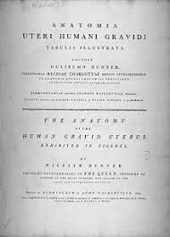 In this case, additional tests are needed to. Pregnancy Wikipedia