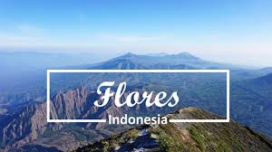 Flores holiday rentals flores holiday packages flights to flores flores restaurants flores provides an opportunity to put into some context the myriad of islands that comprise indonesia. Mijnreiservaring