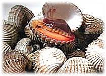 We did not find results for: Thai Food Recipe Spicy Cockle Salad