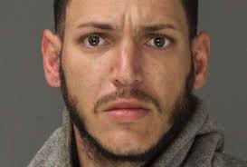 Shoplifter took 14 pounds of jumbo shrimp at Giant, Cumru police say