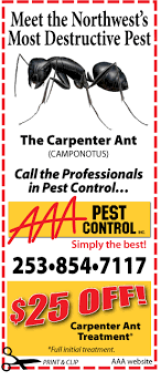 You may also email your job application as an attachment to. Home Aaa Pest Control