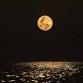Full Moon Gathering with Maya Rook — Maine event image
