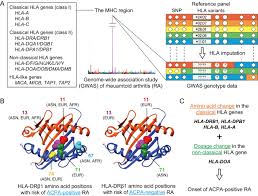 Genetics Of Rheumatoid Arthritis 2018 Status Annals Of The Rheumatic Diseases