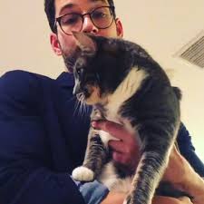 it’s very important to me that everybody knows Tom Ellis’ cats are named  Cain and Abel (pics from the wonderful @moppyoppenheimer)