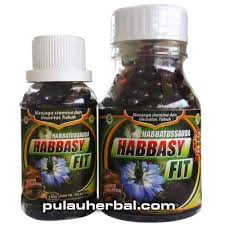 Habbatussauda atau disebut juga jinten hitam atau yang memiliki nama ilmiah nigella sativa memiliki banyak khasiat. Minyak Habbatussauda Habbasyi Fit