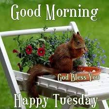 191 Good Morning Tuesday Images Wishes Photos And Wallpaper Tuesday morning images, good morning tuesday images, happy tuesday quotes, tuesday greetings, photos, pictures for facebook, whatsapp lovethispic offers may your day be blessed happy tuesday pictures, photos & images, to be used on facebook, tumblr, pinterest, twitter and. 191 good morning tuesday images wishes