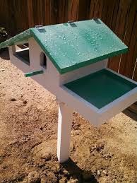 Bird Bath And Feeder Combo Birdhouse Bath Feeder Combo Casa De Passarinho Casas Passaros