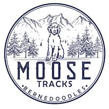 Profile for Moose Tracks Bernedoodles
