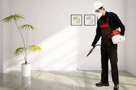 شركة مكافحة حشرات بالدمام اتصل بنا 0531346451 خصم 50 شام المثاليه Buying Furniture Home Appliances Home