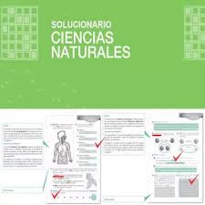 No solo eso, a juzgar por las diversas páginas. Libros De Ciencias Naturales Resueltos Mineduc 2021 Ecu11