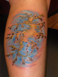 Leafy Seadragon Tattoos Dragon Tattoo Body Art These seahorses have evolved fins that mimic the leaves of seaweed and drift around the sea in clumps of. leafy seadragon tattoos dragon