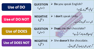 Do Does Don T And Doesn T With Urdu Translation This Lesson Is About Learning Use Of Do Does Do Not And Doe Learn English Words English Words Learn English