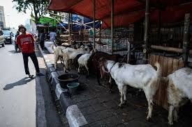 Admin blog berbagi contoh surat 2020 juga mengumpulkan gambar gambar lainnya terkait contoh surat serah terima. Jual Hewan Kurban Hal Hal Ini Harus Diperhatikan Penjual Dan Pembeli Halaman All Kompas Com