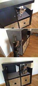 Kallax Cat Scratching Furniture Modified Cabinet From Ikea S Kallax Line Formerly Expedit Sisal Rope Wrap C Kallax Ikea Cat Scratching Furniture Kallax