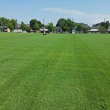 Originally from africa, bermuda grass is very hardy and that can make it a problem for those who are trying to grow other grasses or plants in their yard. What Grass Grows In Sand 6 Types For Sandy Soil Beaches Cg Lawn