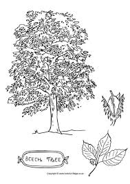 And the trail of leaves, grow on them. Tree Colouring Pages