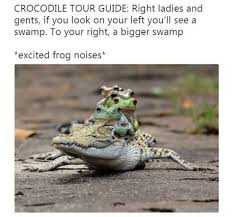Funny Crocodile Tour Guide Funny Animal Memes Cute Funny Animals Funny Animals