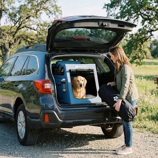 Heavy-duty travel crate anchored in SUV cargo area., AI generated