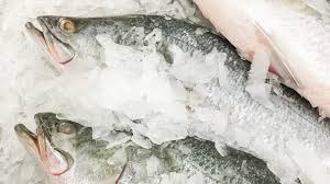 O peixe congelado não é uma opção ruim