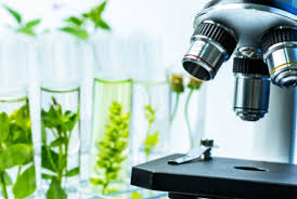 Nextgene scientific | 14 followers on linkedin. New Trinity College Dublin Centre Seeks To Unlock New Bioactives For Next Gen Nutraceuticals