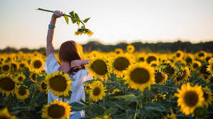 Maybe you would like to learn more about one of these? Lovearoundme 70 Captions For Flowers As Beautiful As Them