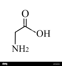 Image result for Glycine