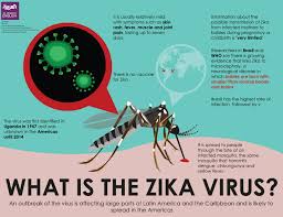 Pin On Infection Prevention Infographics